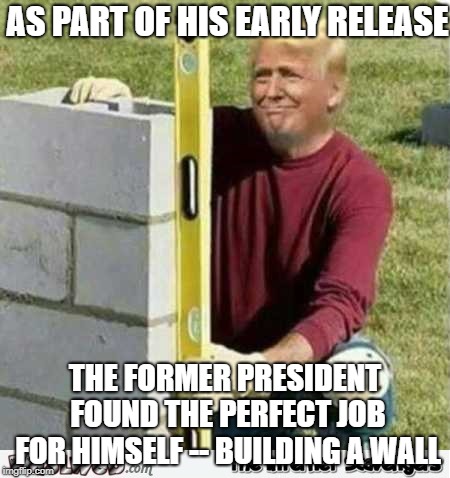 Early Release Trump | AS PART OF HIS EARLY RELEASE; THE FORMER PRESIDENT FOUND THE PERFECT JOB FOR HIMSELF -- BUILDING A WALL | image tagged in trump wall | made w/ Imgflip meme maker
