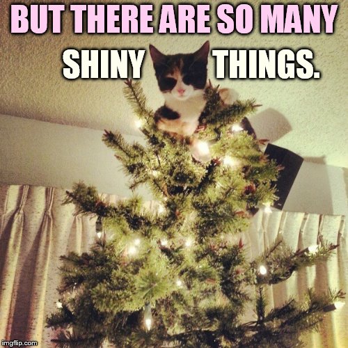 BUT THERE ARE SO MANY SHINY           THINGS. | made w/ Imgflip meme maker