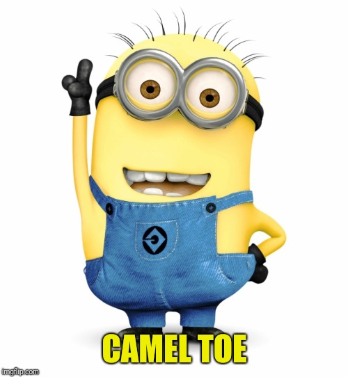CAMEL TOE | made w/ Imgflip meme maker