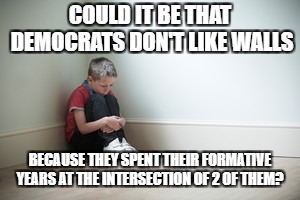 Sitting in a corner | COULD IT BE THAT DEMOCRATS DON'T LIKE WALLS; BECAUSE THEY SPENT THEIR FORMATIVE YEARS AT THE INTERSECTION OF 2 OF THEM? | image tagged in sitting in a corner | made w/ Imgflip meme maker