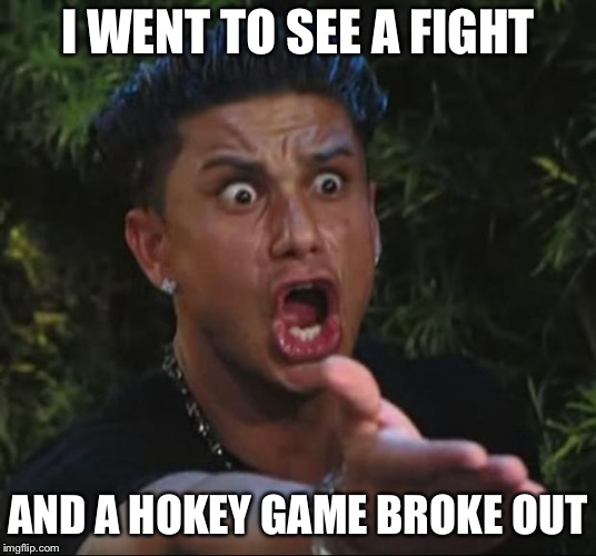 DJ Pauly D Meme | I WENT TO SEE A FIGHT AND A HOKEY GAME BROKE OUT | image tagged in memes,dj pauly d | made w/ Imgflip meme maker
