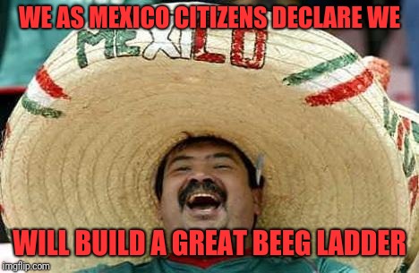 Juan | WE AS MEXICO CITIZENS DECLARE WE; WILL BUILD A GREAT BEEG LADDER | image tagged in juan | made w/ Imgflip meme maker