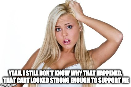 Dumb Blonde | YEAH, I STILL DON'T KNOW WHY THAT HAPPENED. THAT CART LOOKED STRONG ENOUGH TO SUPPORT ME | image tagged in dumb blonde | made w/ Imgflip meme maker