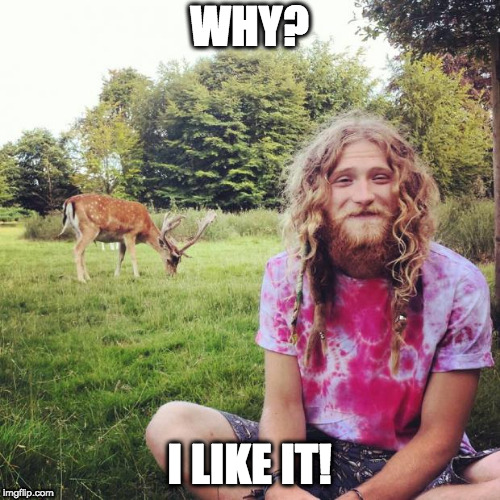Heathen hippie | WHY? I LIKE IT! | image tagged in heathen hippie | made w/ Imgflip meme maker