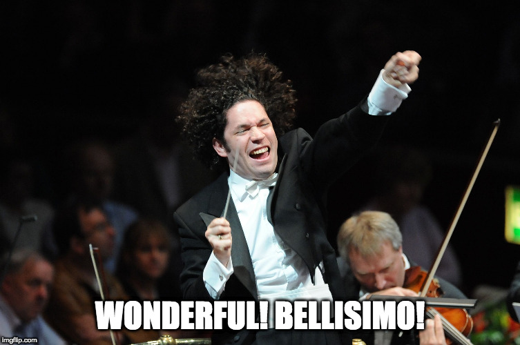 Orchestra Conductor | WONDERFUL! BELLISIMO! | image tagged in orchestra conductor | made w/ Imgflip meme maker