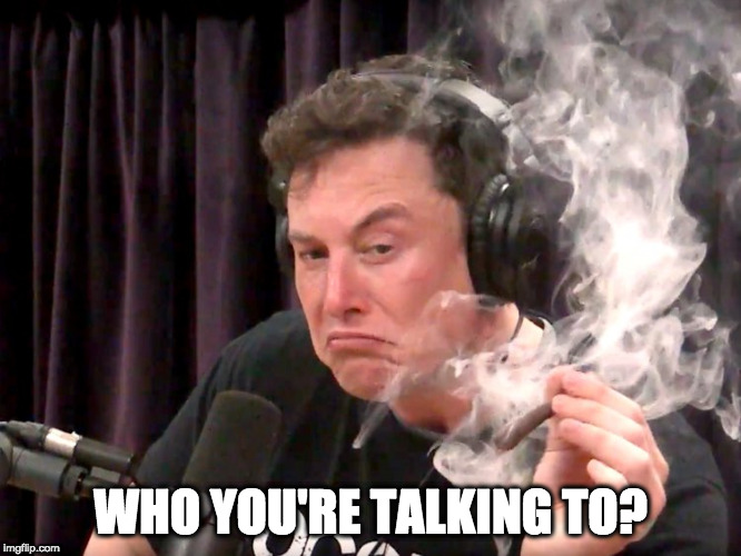 Elon Musk Weed | WHO YOU'RE TALKING TO? | image tagged in elon musk weed | made w/ Imgflip meme maker