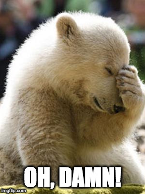 Facepalm Bear Meme | OH, DAMN! | image tagged in memes,facepalm bear | made w/ Imgflip meme maker