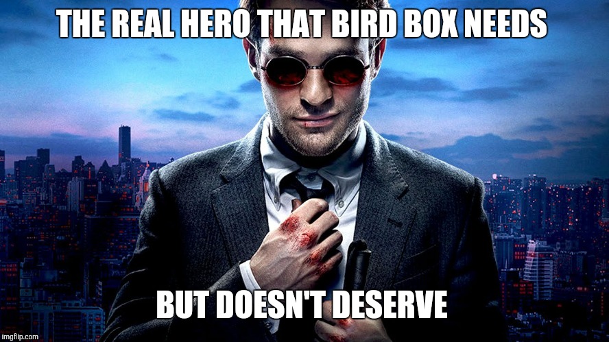 Daredevil I see what you did there | THE REAL HERO THAT BIRD BOX NEEDS; BUT DOESN'T DESERVE | image tagged in daredevil i see what you did there | made w/ Imgflip meme maker