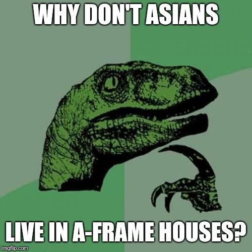 Why indeed....... | WHY DON'T ASIANS; LIVE IN A-FRAME HOUSES? | image tagged in memes,philosoraptor,asian,high expectations asian father | made w/ Imgflip meme maker