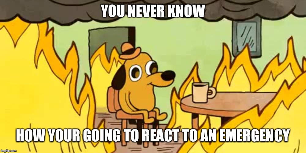 Dog on fire |  YOU NEVER KNOW; HOW YOUR GOING TO REACT TO AN EMERGENCY | image tagged in dog on fire | made w/ Imgflip meme maker