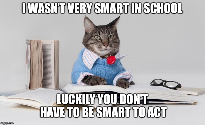smart cat | I WASN’T VERY SMART IN SCHOOL; LUCKILY YOU DON’T HAVE TO BE SMART TO ACT | image tagged in smart cat | made w/ Imgflip meme maker