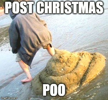 POST CHRISTMAS; POO | image tagged in big poo | made w/ Imgflip meme maker
