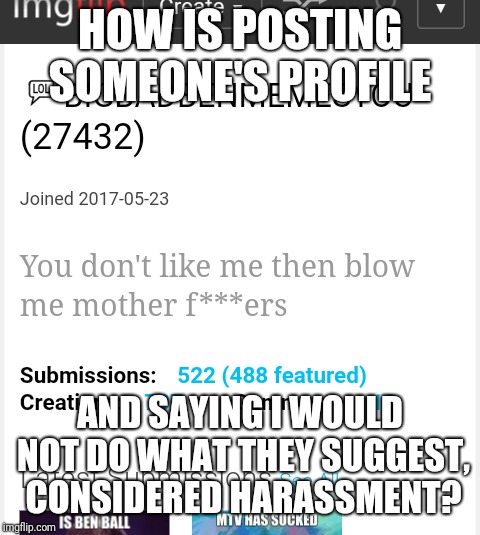 HOW IS POSTING SOMEONE'S PROFILE; AND SAYING I WOULD NOT DO WHAT THEY SUGGEST, CONSIDERED HARASSMENT? | image tagged in meme,imgflip mods,mods | made w/ Imgflip meme maker