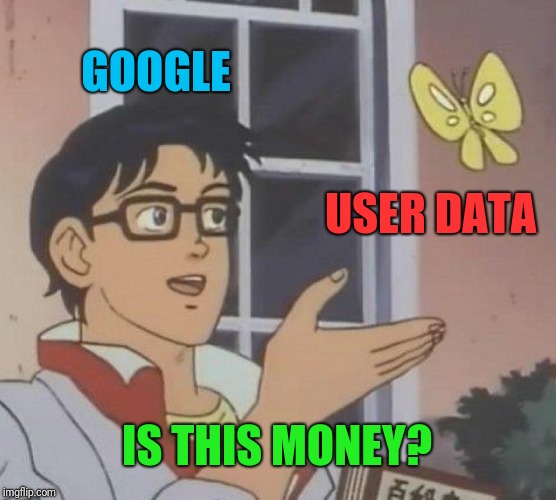 The privacy thing :) |  GOOGLE; USER DATA; IS THIS MONEY? | image tagged in memes,is this a pigeon,google wants to know your location,google,money,data | made w/ Imgflip meme maker