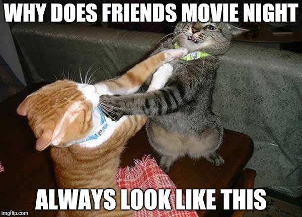 Two cats fighting for real | WHY DOES FRIENDS MOVIE NIGHT; ALWAYS LOOK LIKE THIS | image tagged in two cats fighting for real | made w/ Imgflip meme maker