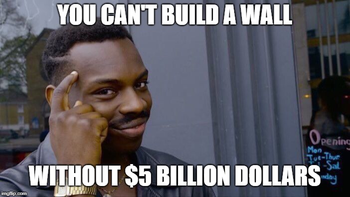 Roll Safe Think About It | YOU CAN'T BUILD A WALL; WITHOUT $5 BILLION DOLLARS | image tagged in memes,roll safe think about it | made w/ Imgflip meme maker