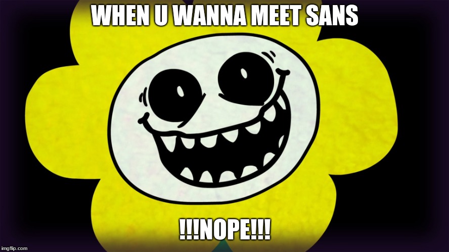 Undertale | WHEN U WANNA MEET SANS; !!!NOPE!!! | image tagged in undertale | made w/ Imgflip meme maker