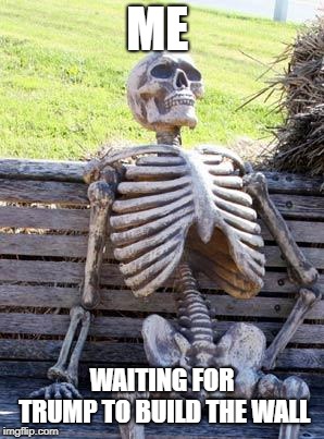Waiting Skeleton | ME; WAITING FOR TRUMP TO BUILD THE WALL | image tagged in memes,waiting skeleton | made w/ Imgflip meme maker
