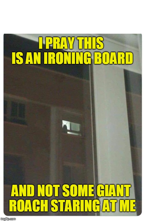 I Watch Too Many Horror Films | image tagged in ironing board,cockroach,stare | made w/ Imgflip meme maker