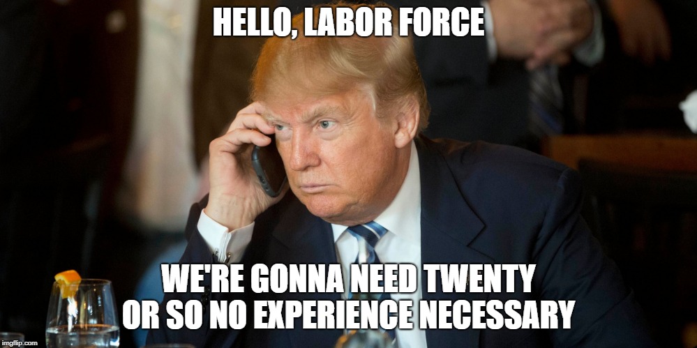trump on phone | HELLO, LABOR FORCE; WE'RE GONNA NEED TWENTY OR SO NO EXPERIENCE NECESSARY | image tagged in trump on phone | made w/ Imgflip meme maker