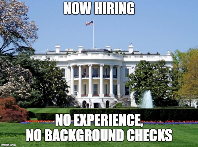White House | NOW HIRING; NO EXPERIENCE, NO BACKGROUND CHECKS | image tagged in white house | made w/ Imgflip meme maker
