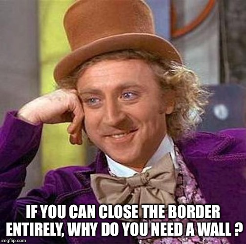 Creepy Condescending Wonka Meme | IF YOU CAN CLOSE THE BORDER ENTIRELY, WHY DO YOU NEED A WALL ? | image tagged in memes,creepy condescending wonka | made w/ Imgflip meme maker