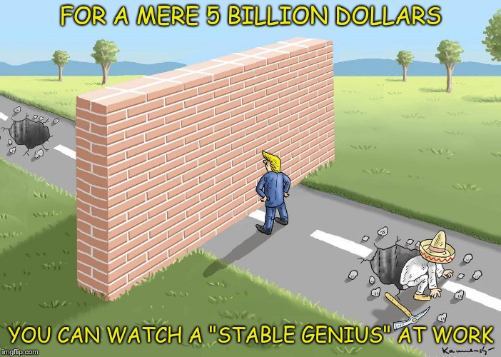 Stable Genius | FOR A MERE 5 BILLION DOLLARS; YOU CAN WATCH A "STABLE GENIUS" AT WORK | image tagged in trump,wall,idiot,moron | made w/ Imgflip meme maker