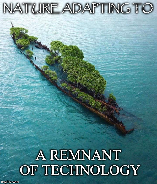 It's Nice To See | NATURE ADAPTING TO; A REMNANT OF TECHNOLOGY | image tagged in trees,sunken,boat,nature,adaptating,technology | made w/ Imgflip meme maker