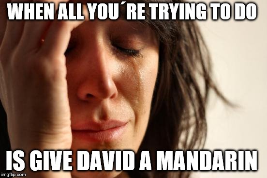First World Problems Meme | WHEN ALL YOU´RE TRYING TO DO; IS GIVE DAVID A MANDARIN | image tagged in memes,first world problems | made w/ Imgflip meme maker