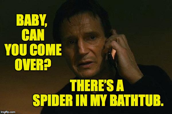 How I test for true love. |  BABY, CAN YOU COME OVER? THERE’S A SPIDER IN MY BATHTUB. | image tagged in liam neeson phone call,memes,spider,true love | made w/ Imgflip meme maker