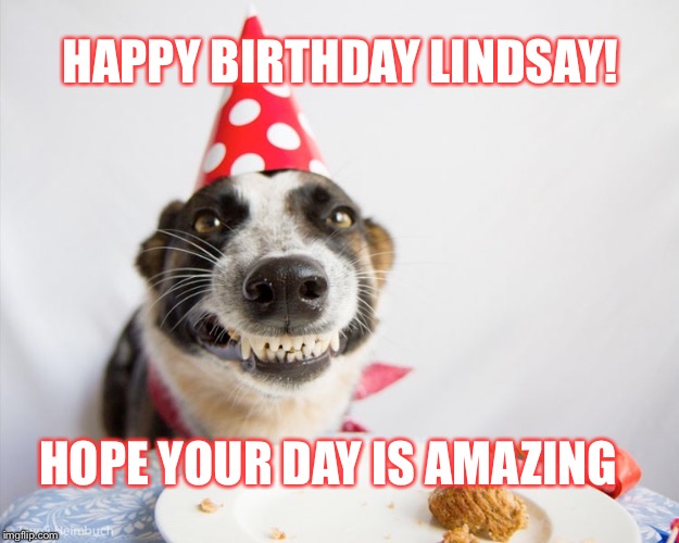 Happy Birthday to my friend | HAPPY BIRTHDAY LINDSAY! HOPE YOUR DAY IS AMAZING | image tagged in happy birthday,dog,smile | made w/ Imgflip meme maker