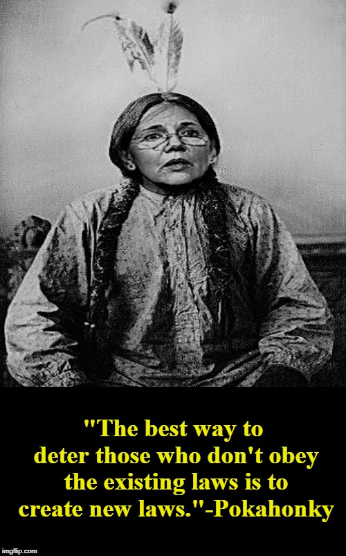 Pokahonky Sayz | "The best way to deter those who don't obey the existing laws is to create new laws."-Pokahonky | image tagged in pokahonky sayz,elizabeth warren,liberal logic,memes | made w/ Imgflip meme maker