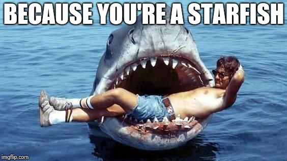 Pet Shark | BECAUSE YOU'RE A STARFISH | image tagged in pet shark | made w/ Imgflip meme maker