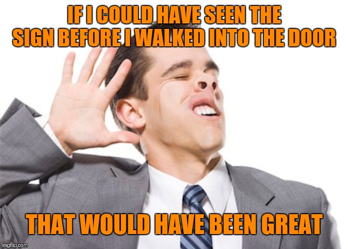 IF I COULD HAVE SEEN THE SIGN BEFORE I WALKED INTO THE DOOR THAT WOULD HAVE BEEN GREAT | made w/ Imgflip meme maker