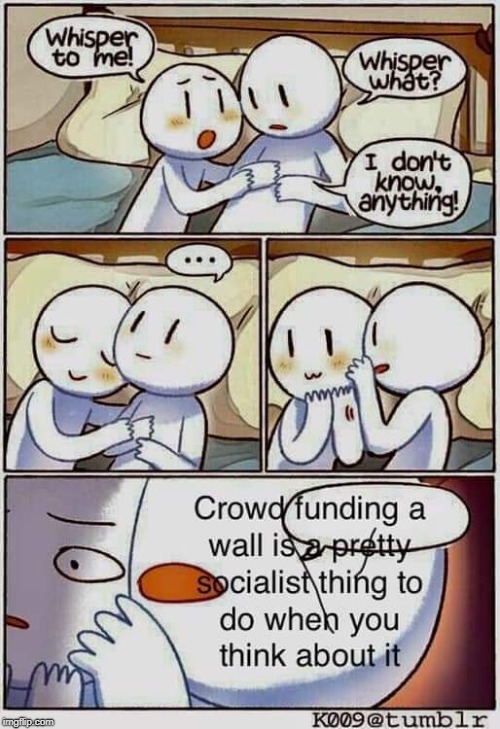 You're all socialists...LOL | image tagged in the wall,tell me anything i'll believe it,memes | made w/ Imgflip meme maker