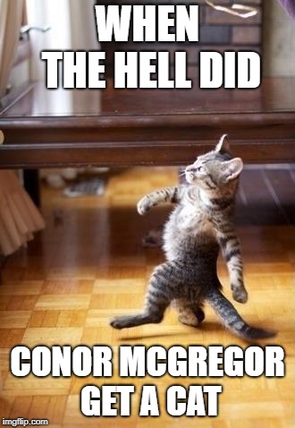 Cool Cat Stroll | WHEN THE HELL DID; CONOR MCGREGOR GET A CAT | image tagged in memes,cool cat stroll | made w/ Imgflip meme maker