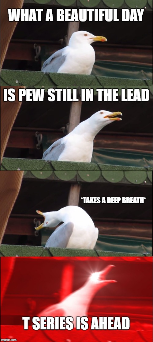 Inhaling Seagull Meme | WHAT A BEAUTIFUL DAY; IS PEW STILL IN THE LEAD; *TAKES A DEEP BREATH*; T SERIES IS AHEAD | image tagged in memes,inhaling seagull | made w/ Imgflip meme maker