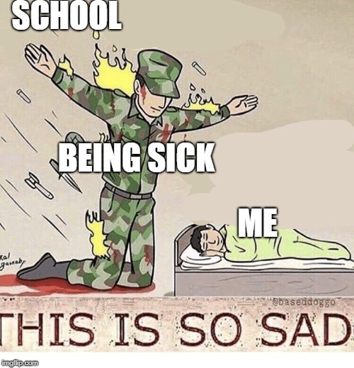 school sucks | SCHOOL; BEING SICK; ME | image tagged in soldier protecting sleeping child | made w/ Imgflip meme maker