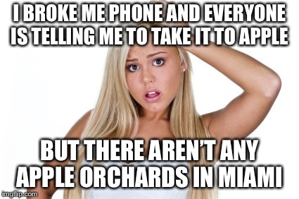 Dumb Blonde | I BROKE ME PHONE AND EVERYONE IS TELLING ME TO TAKE IT TO APPLE; BUT THERE AREN’T ANY APPLE ORCHARDS IN MIAMI | image tagged in dumb blonde | made w/ Imgflip meme maker