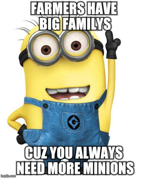 minions | FARMERS HAVE BIG FAMILYS CUZ YOU ALWAYS NEED MORE MINIONS | image tagged in minions | made w/ Imgflip meme maker