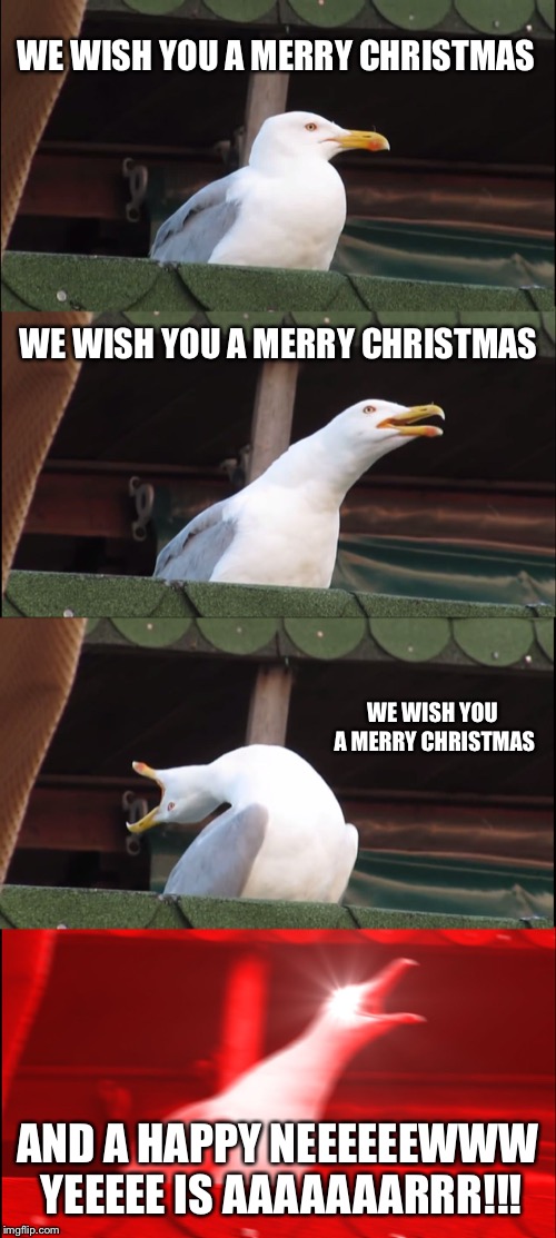 Jolly Seagull | WE WISH YOU A MERRY CHRISTMAS; WE WISH YOU A MERRY CHRISTMAS; WE WISH YOU A MERRY CHRISTMAS; AND A HAPPY NEEEEEEWWW YEEEEE IS AAAAAAARRR!!! | image tagged in memes,inhaling seagull,christmas,christmas memes,merry christmas,happy new years | made w/ Imgflip meme maker
