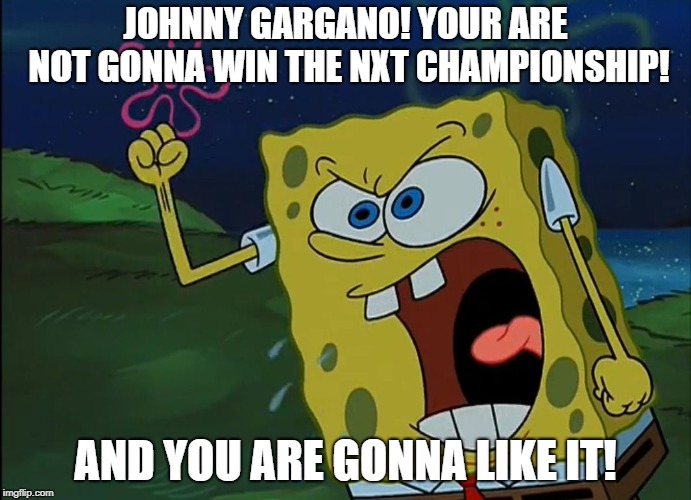 YOU ARE GONNA LIKE IT! | JOHNNY GARGANO! YOUR ARE NOT GONNA WIN THE NXT CHAMPIONSHIP! AND YOU ARE GONNA LIKE IT! | image tagged in you are gonna like it,wwe | made w/ Imgflip meme maker