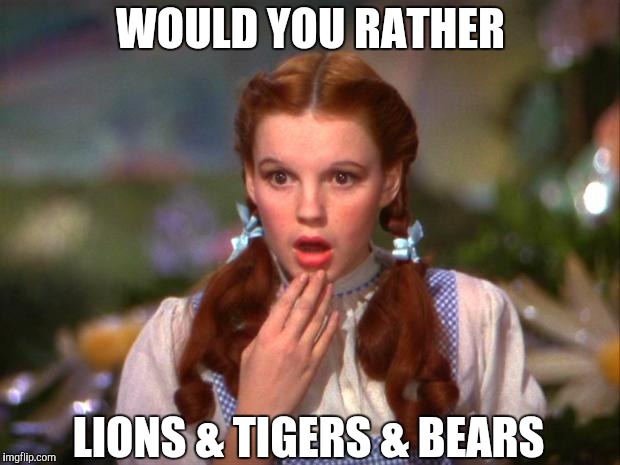 Dorothy | WOULD YOU RATHER LIONS & TIGERS & BEARS | image tagged in dorothy | made w/ Imgflip meme maker