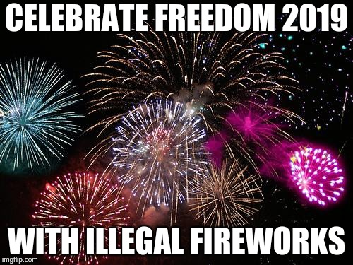 New Years  | CELEBRATE FREEDOM 2019; WITH ILLEGAL FIREWORKS | image tagged in new years | made w/ Imgflip meme maker