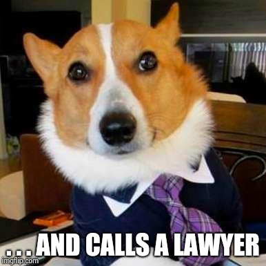 LAWYER DOG | . . . AND CALLS A LAWYER | image tagged in lawyer dog | made w/ Imgflip meme maker