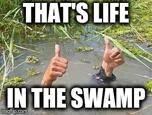 FLOODING THUMBS UP | THAT'S LIFE IN THE SWAMP | image tagged in flooding thumbs up | made w/ Imgflip meme maker
