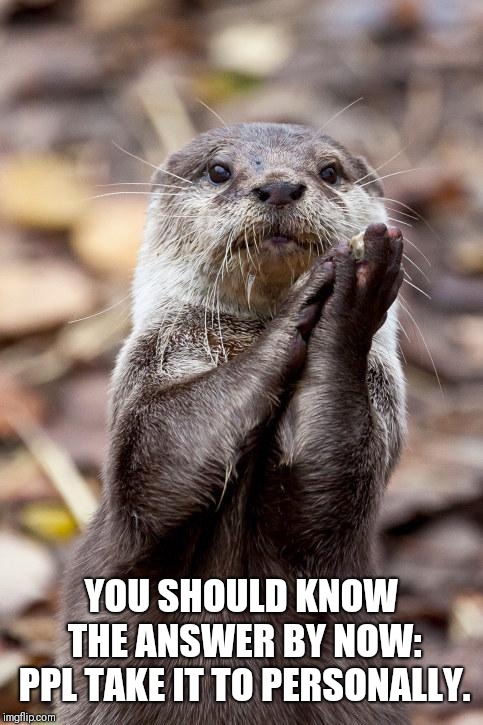 Slow-Clap Otter | YOU SHOULD KNOW THE ANSWER BY NOW: PPL TAKE IT TO PERSONALLY. | image tagged in slow-clap otter | made w/ Imgflip meme maker