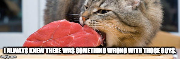 cat eating meat | I ALWAYS KNEW THERE WAS SOMETHING WRONG WITH THOSE GUYS. | image tagged in cat eating meat | made w/ Imgflip meme maker