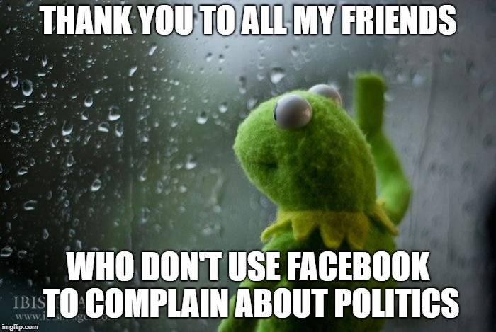 kermit window | THANK YOU TO ALL MY FRIENDS; WHO DON'T USE FACEBOOK TO COMPLAIN ABOUT POLITICS | image tagged in kermit window | made w/ Imgflip meme maker