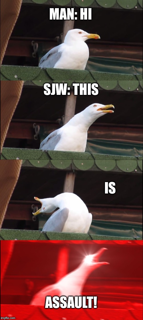 Inhaling Seagull Meme | MAN: HI; SJW: THIS; IS; ASSAULT! | image tagged in memes,inhaling seagull | made w/ Imgflip meme maker